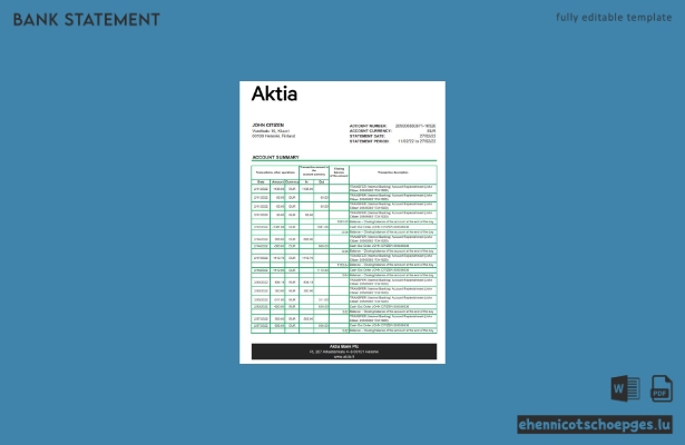 Finnland Aktia Kontoauszug Excel-Beispielvorschau